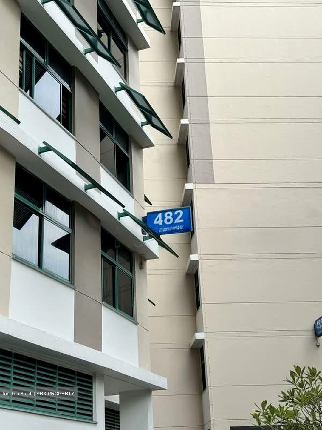 Blk 482 Segar Gardens (Bukit Panjang), HDB Executive #563642421